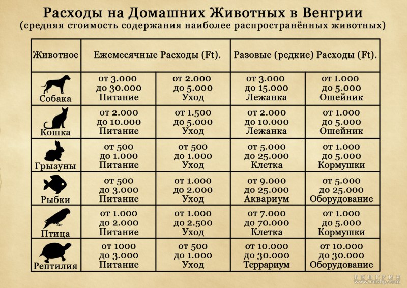Затраты на собаку в месяц
