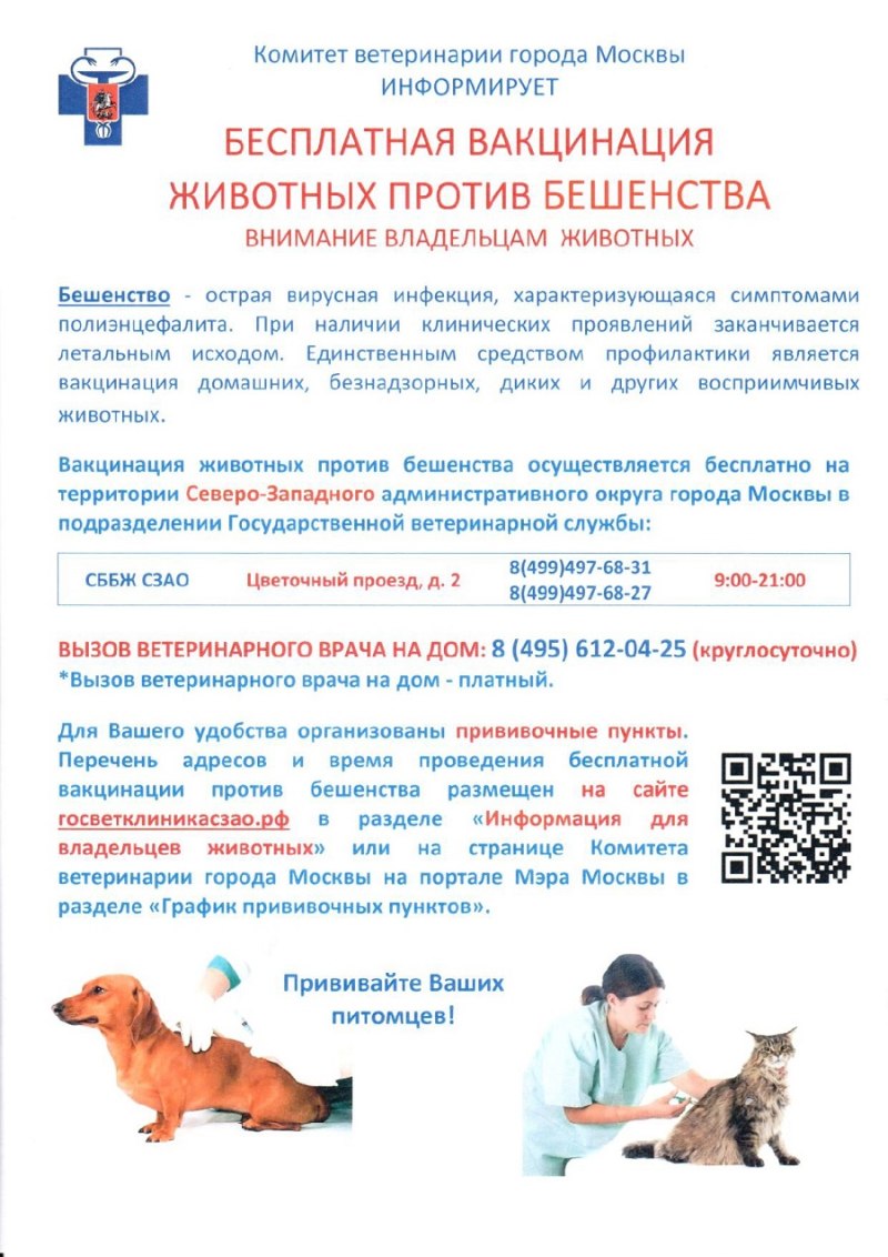 Прививка собаке