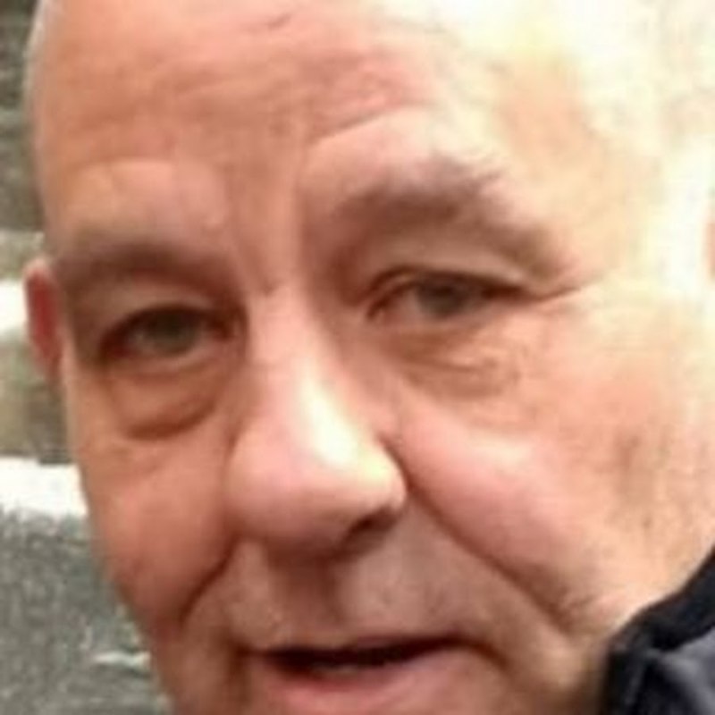 Родезийский риджбек стандарт породы