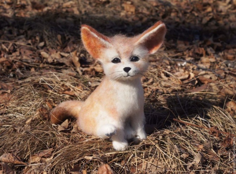Квинс корги
