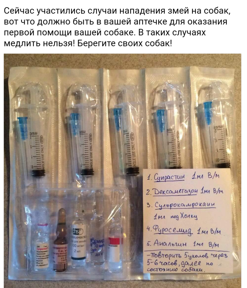 Немецкая овчарка спасает девочку