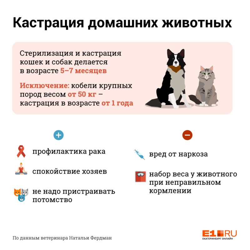 Отметка на кастрированных животных