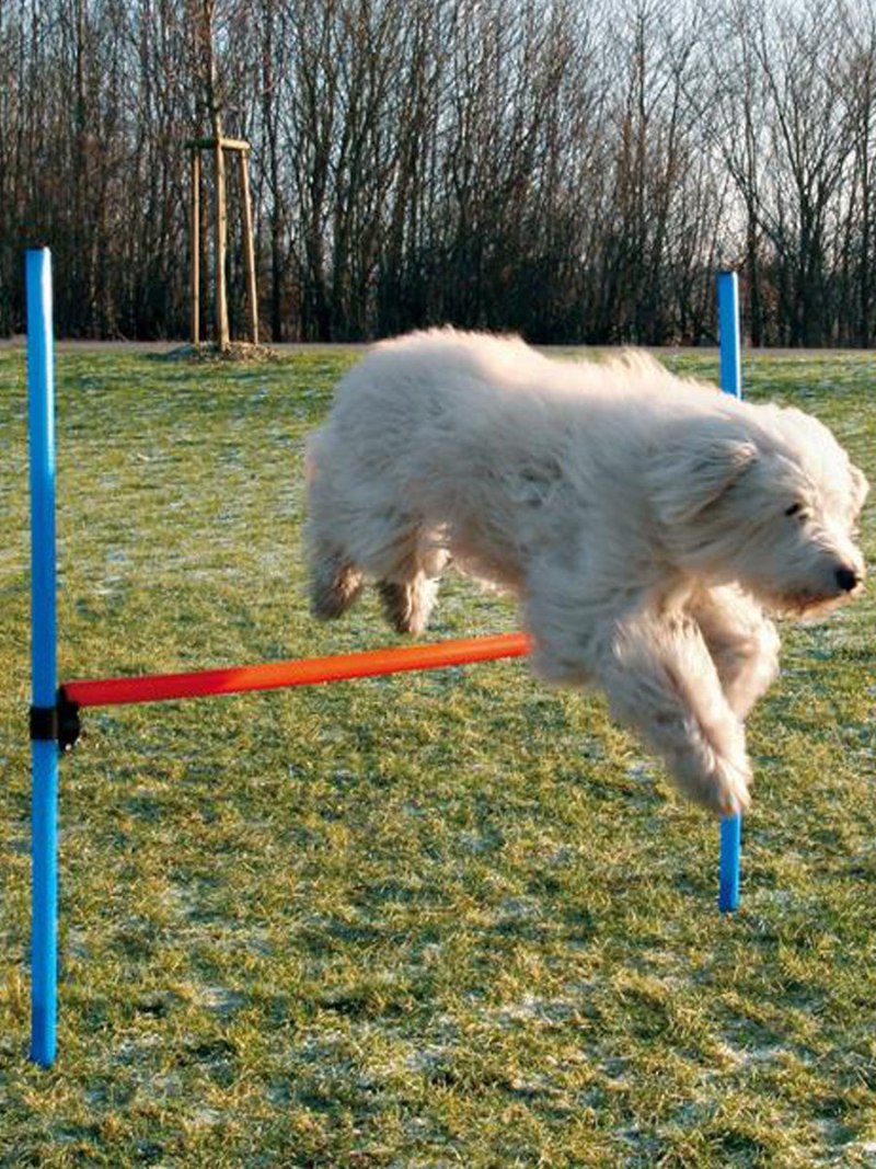 Набор для аджилити Trixie Jump