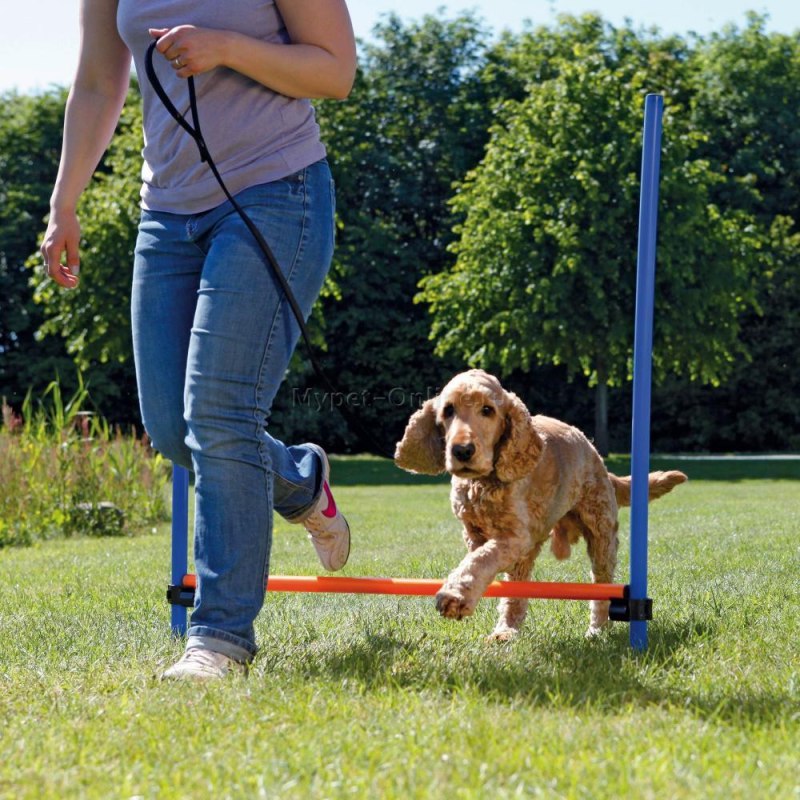 Набор для аджилити для собак Trixie Dog activity