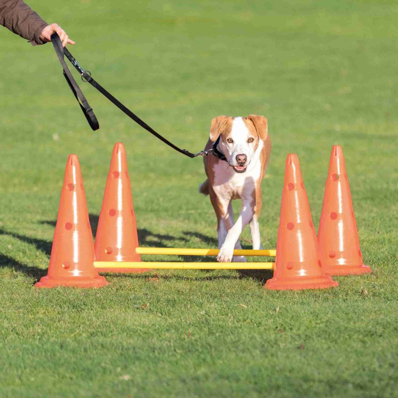 Набор для аджилити для собак Trixie Dog activity