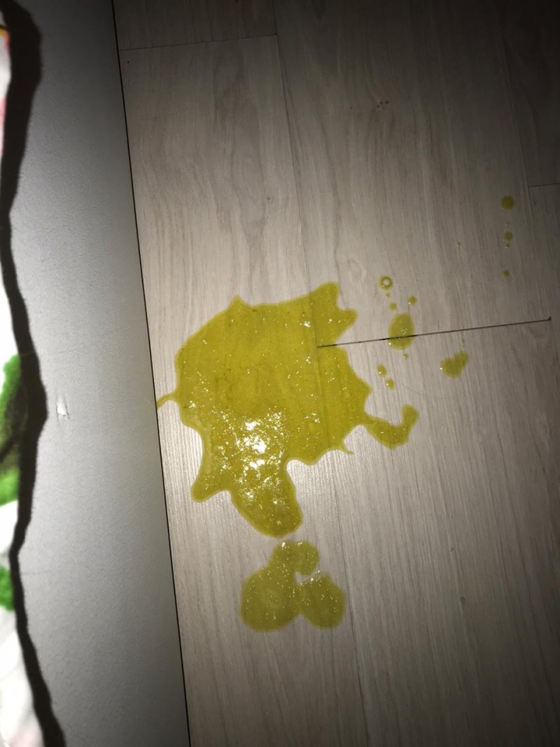 Рвота у собаки белой пеной