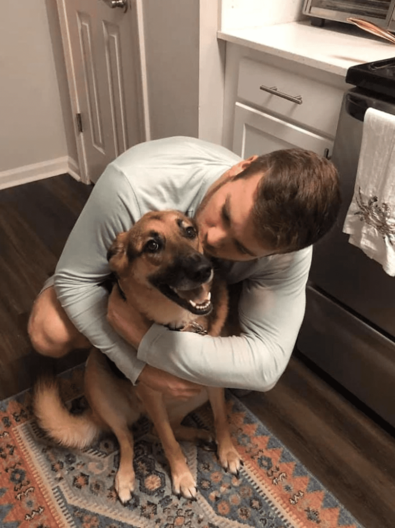 Dog doing Hi