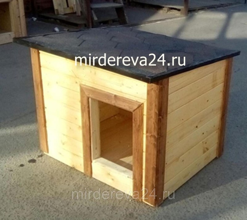 Собачья конура зимняя