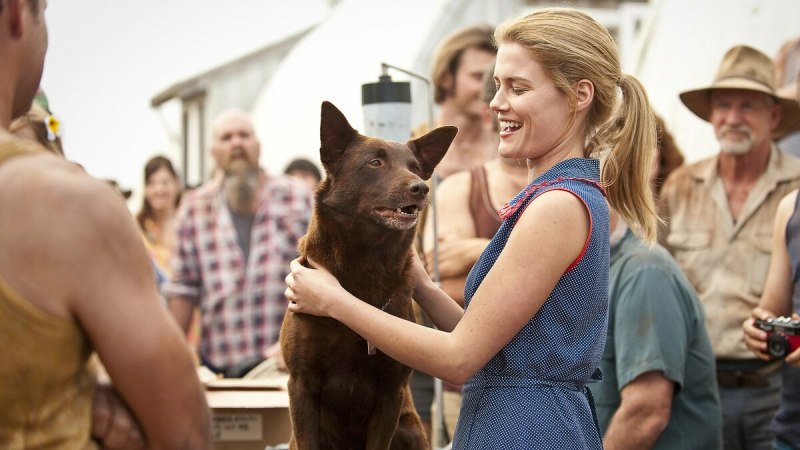 Рыжий пес Red Dog, 2011