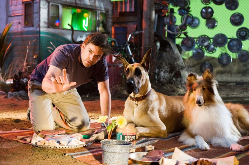 Мармадюк (Marmaduke) 2010