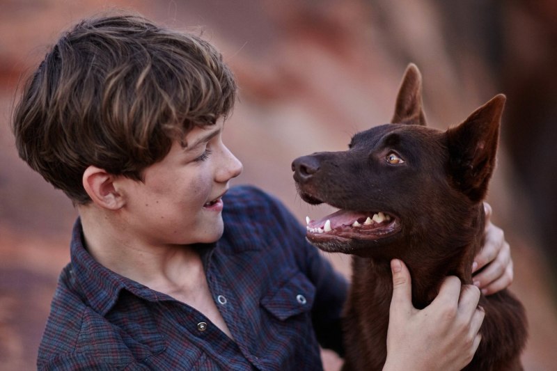 Фильм Red Dog true Blue