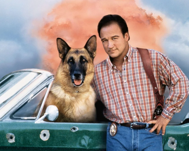 Джеймс Белуши k9