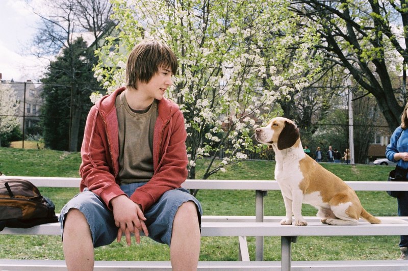 Суперпёс фильм 2007