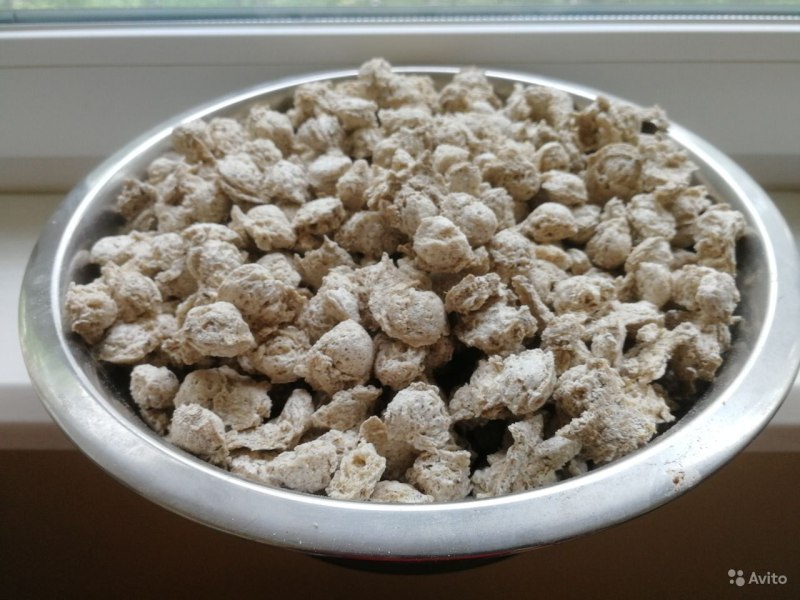 Миска с едой для собаки