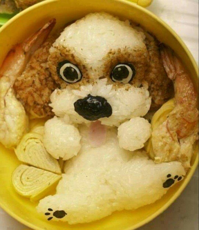 Кормление собаки ши тцу