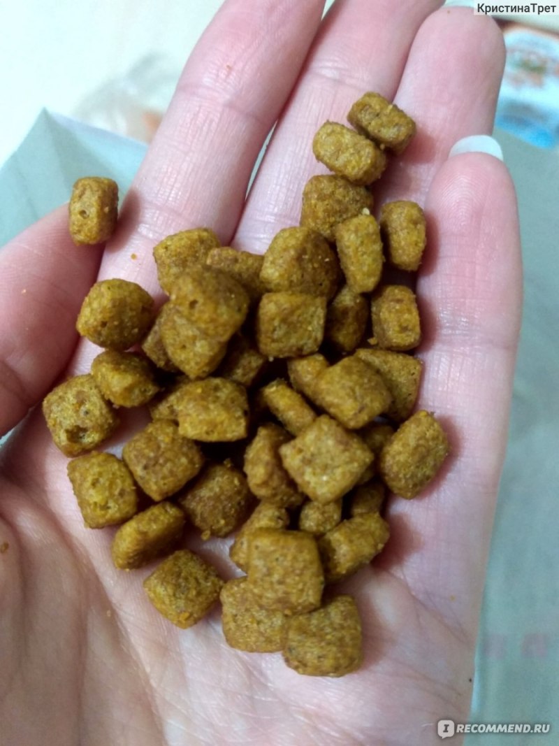 Royal Canin Gastro intestinal для собак сухой