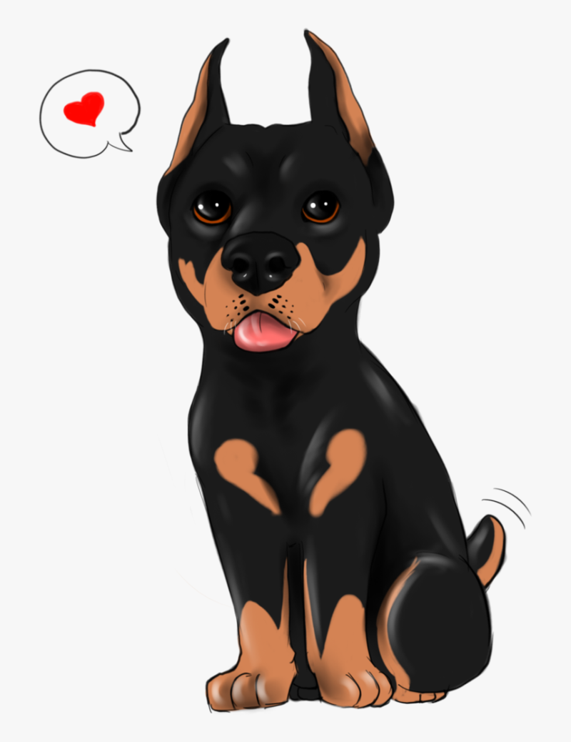 Доберман Cerberus