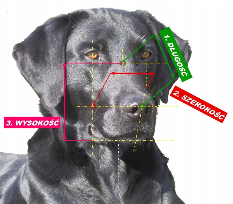 Намордник Muzzle Flex силикон