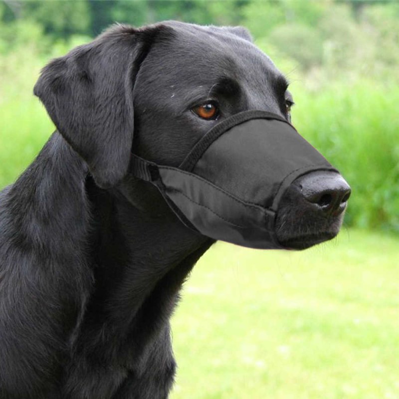 Намордник Collar нейлоновый "Dog extremе"