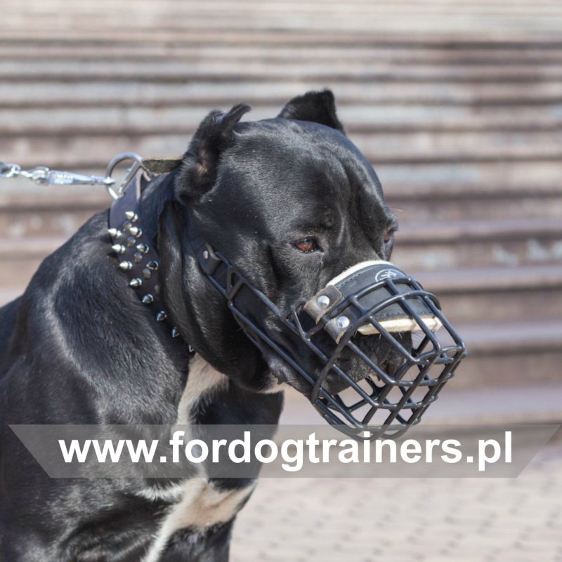 Croci Boxer намордник