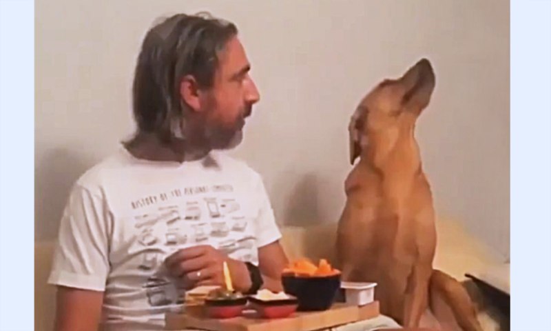 Хозяин держит собаку