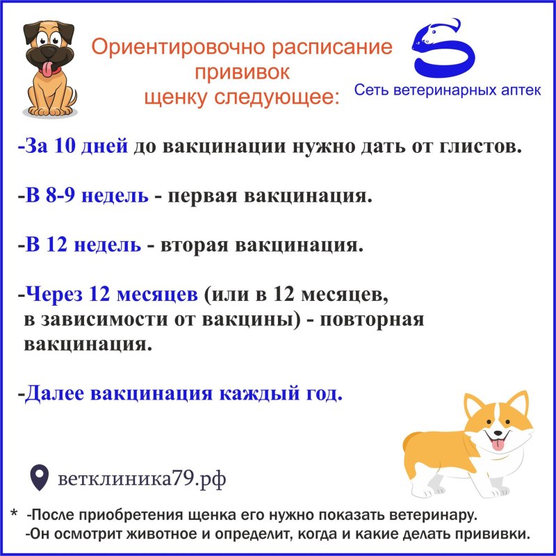 Ветеринар вакцинация