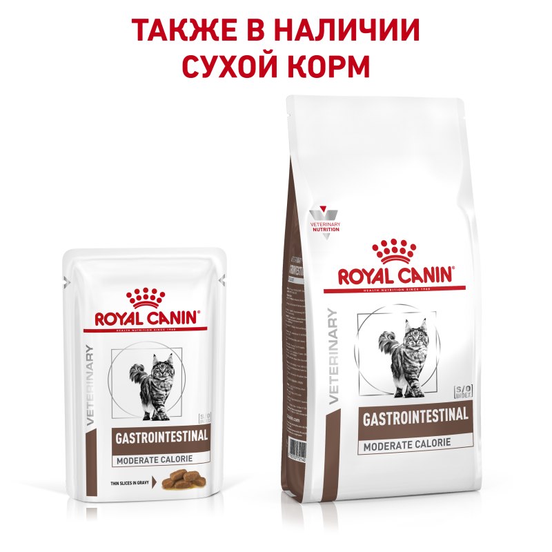 Royal Canin Hypoallergenic dr25