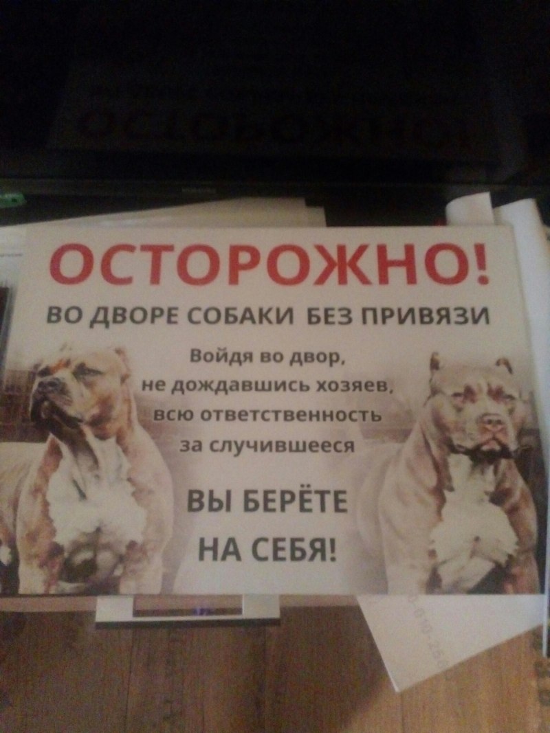 Картинки оригинал из псов