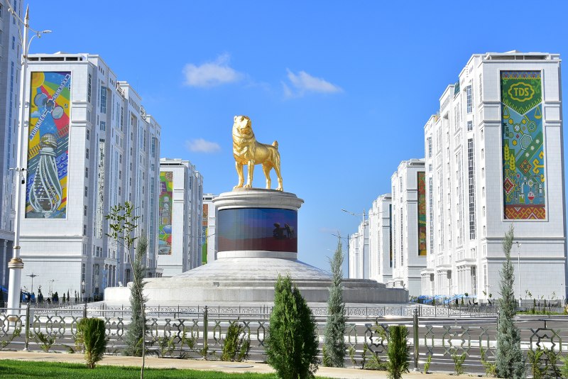 Среднеазиатская овчарка волкодав