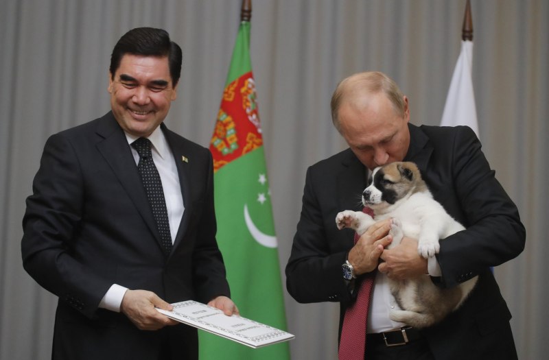 Золотой памятник алабаю президент Туркмении