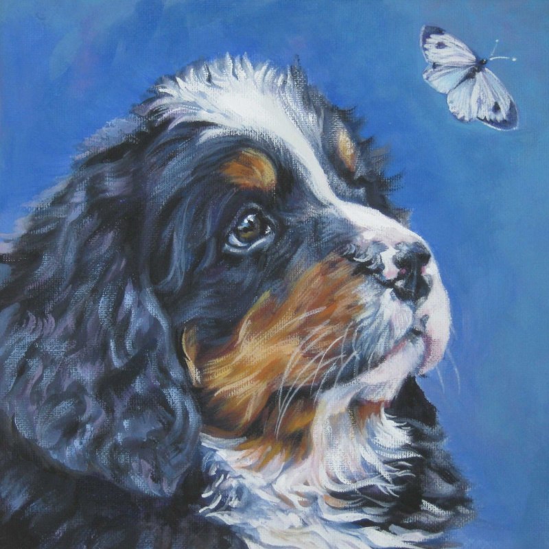Bernese Mountain Dog Art