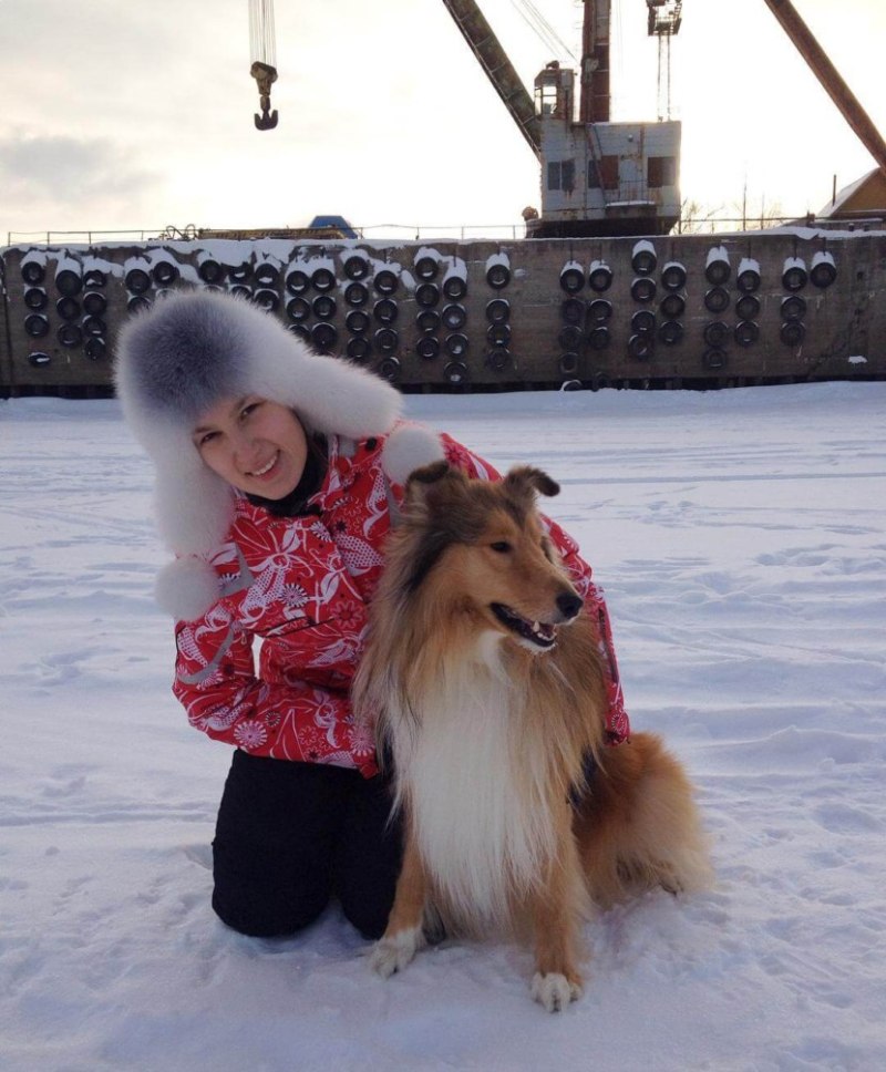 Колли с хозяином