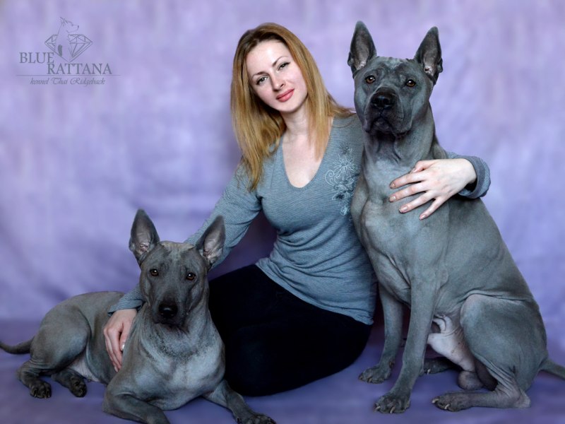 Питомник Фарфалла тайский риджбек