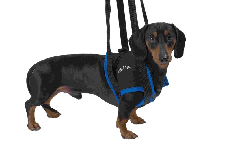 Вожжи для собак Kruuse Walkabout harness