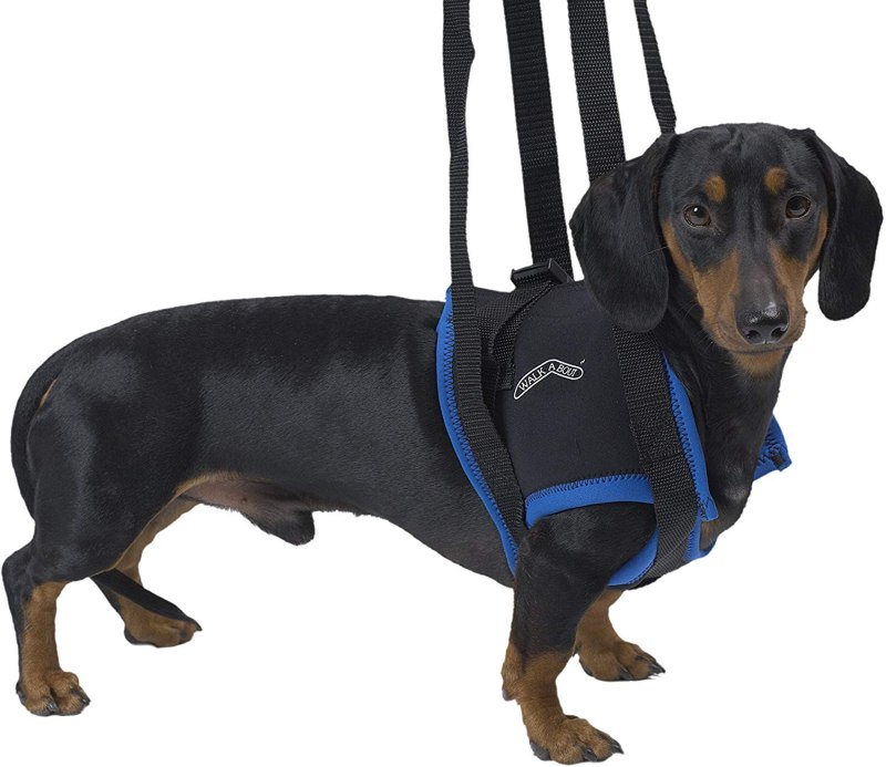Шлейка Julius-k9 Rehabilitation-harnesses-hind l черный