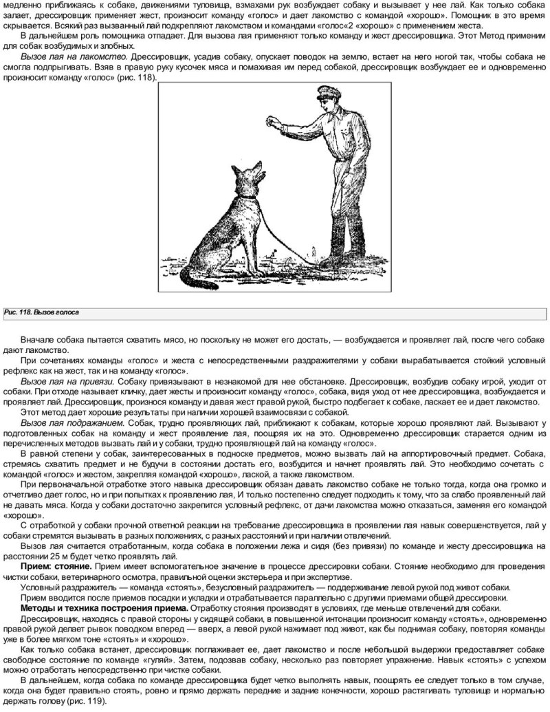 Команды для собак жестами