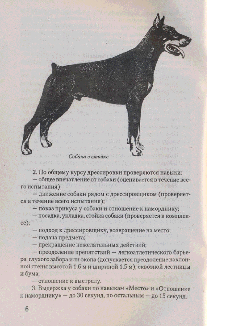 План дрессировки собаки