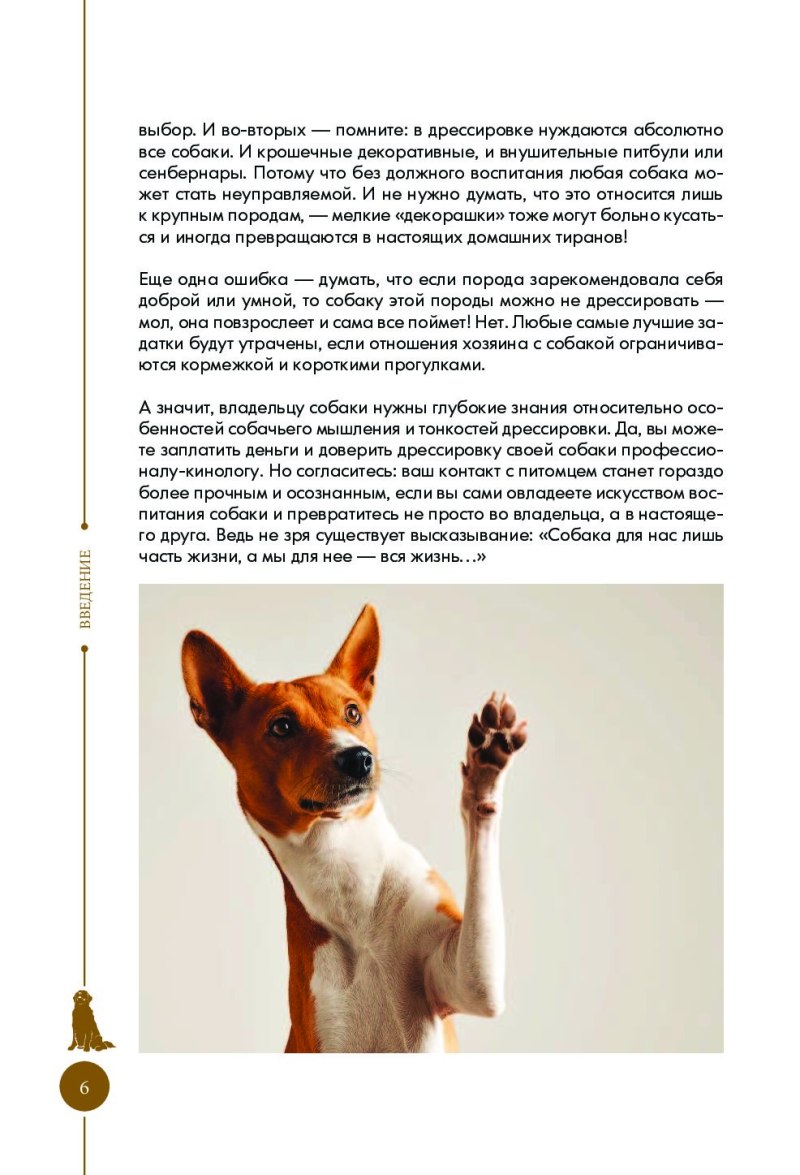 Как дрессировать собаку в домашних условиях