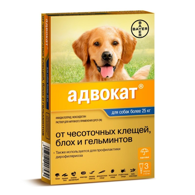 Адвокат для собак более 25 кг