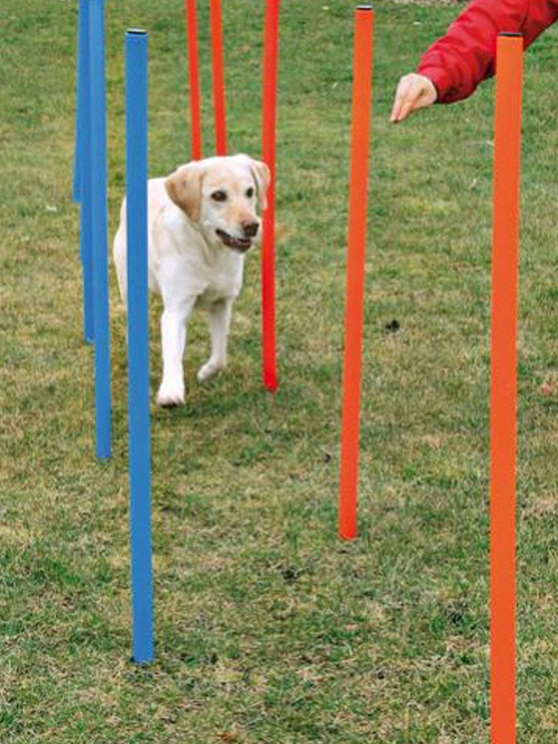 Набор для аджилити для собак Trixie Dog activity