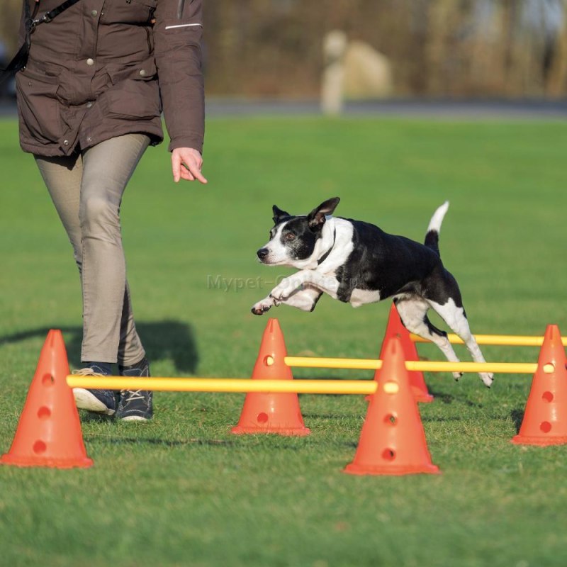 Набор для аджилити препятствие для собак Dog activity