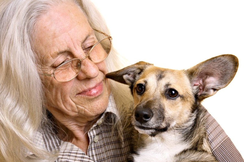 An elderly woman Lived with hundreds of animals