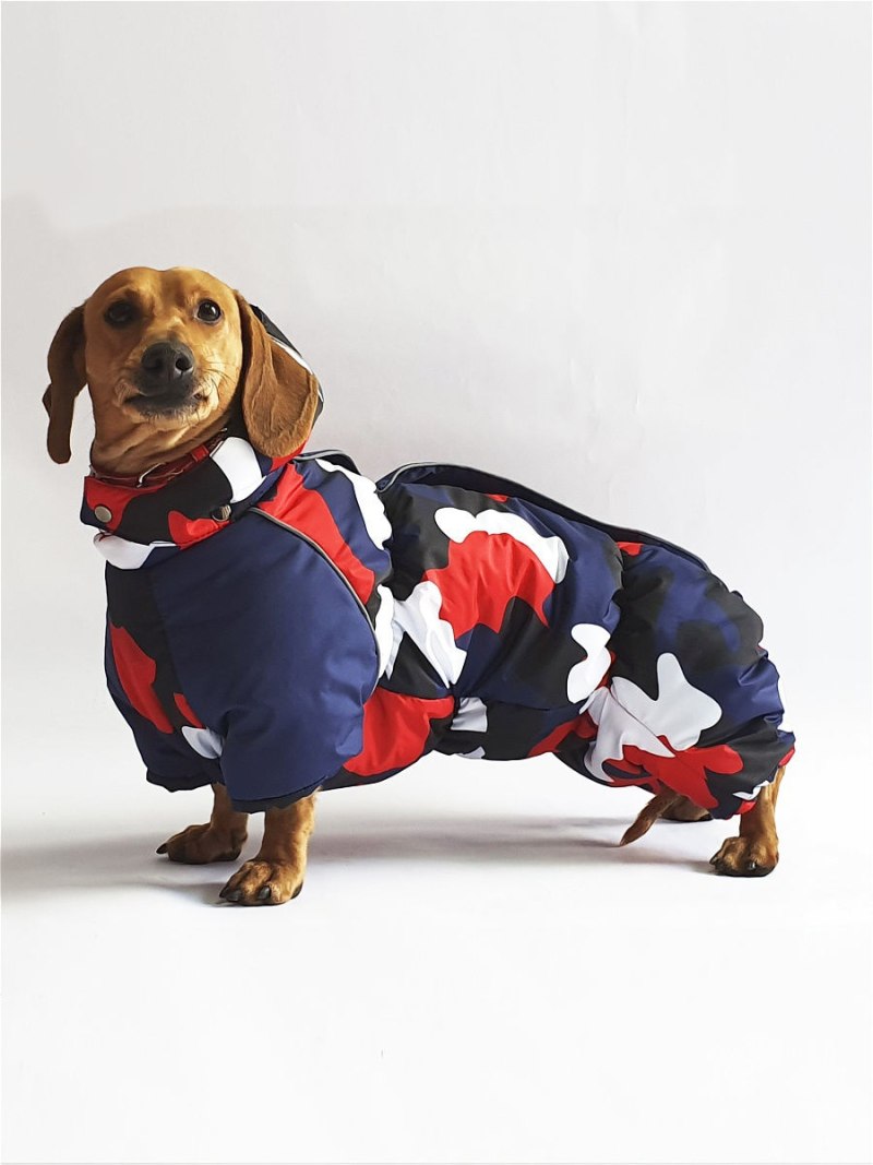 Lucky Dog бульдог комбинезон