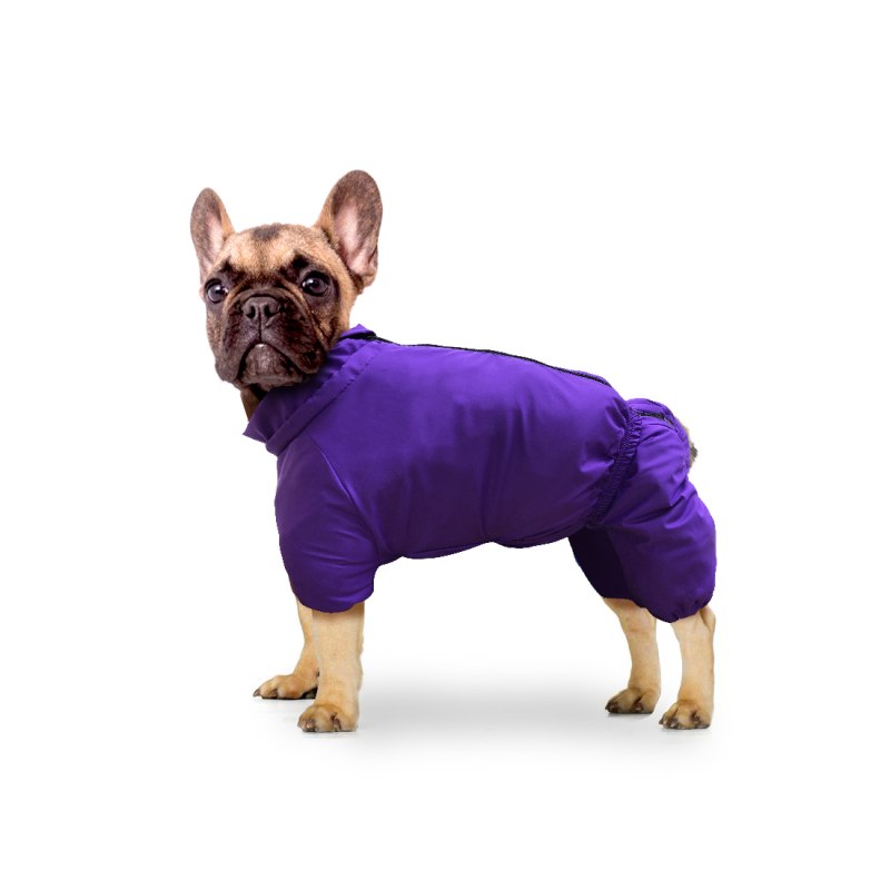 Комбинезон ZOOTREND "Франц.бульдог"