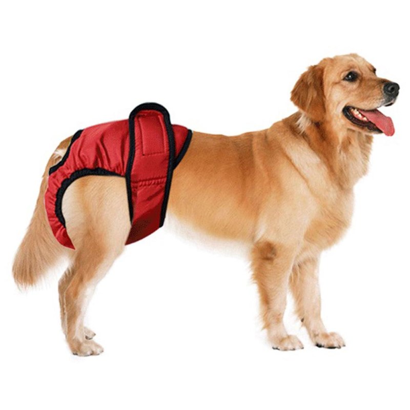 Pet Baronet одежда для собак