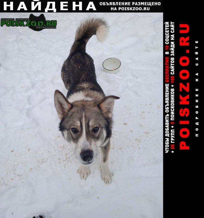 Смешные самолеты