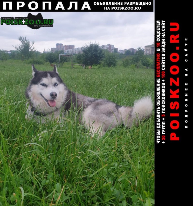 Хаски симулятор Арктический