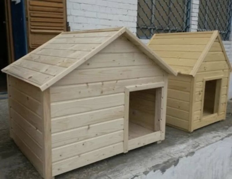 Собачья конура для хаски