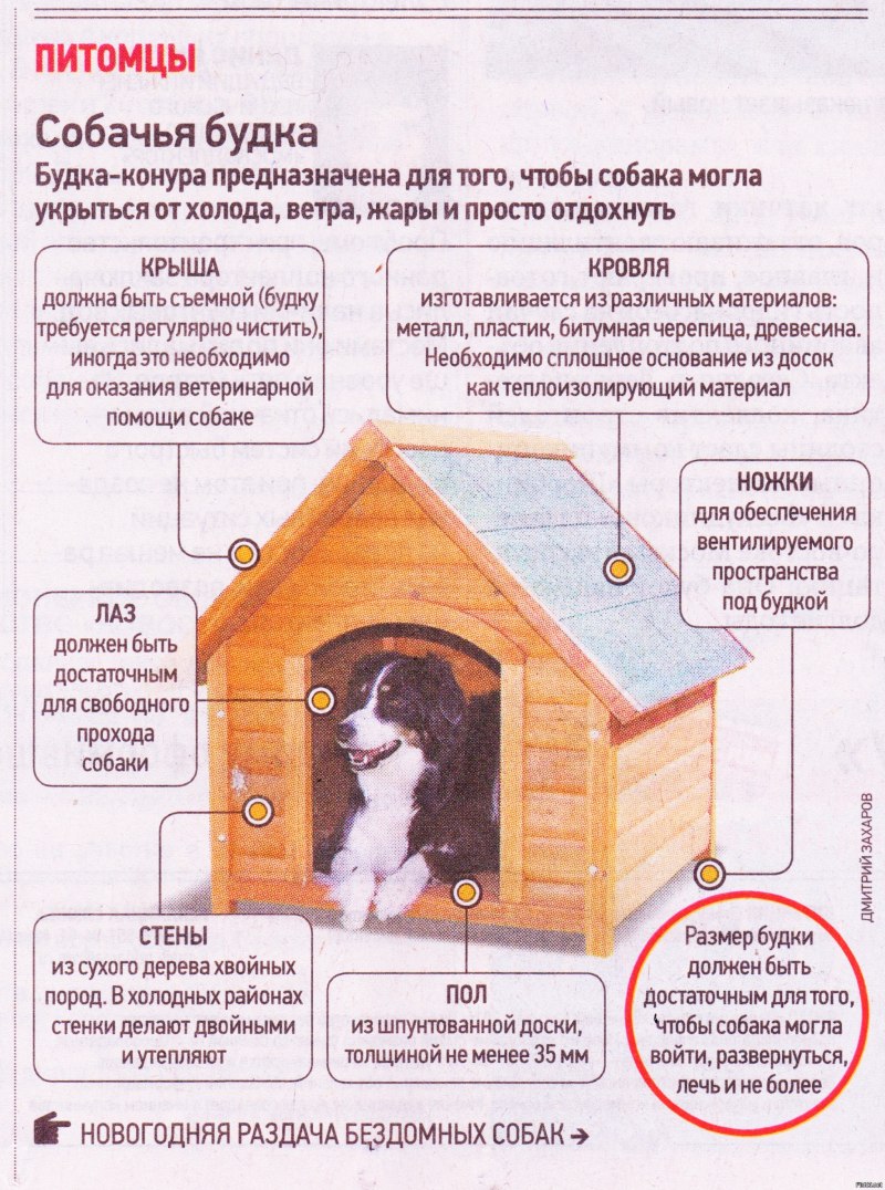 Какого размера должна быть собачья будка