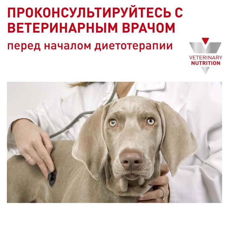 Метаболик Хиллс консервы собаки